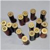 Image 2 : Assortment of 16ga Collectable Lead Shotshells  17 Total