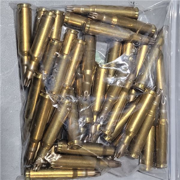 .308 Win Blanks  40 Rounds