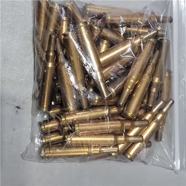 .308 Blanks  50 Pieces