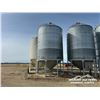 Image 1 : BEHLEN 14 FT 2800 +/- BUSHEL HOPPER BIN