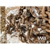 Image 3 : Grader 17.5-25 Tire Chains