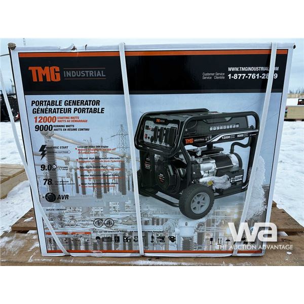 TMG 12 KVA Gas Generator