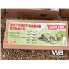 Image 3 : (10) 2 IN. X 20 FT. Ratchet Straps, Sump Pump