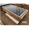 Image 3 : (10) 62X32 IN. Solar Panels
