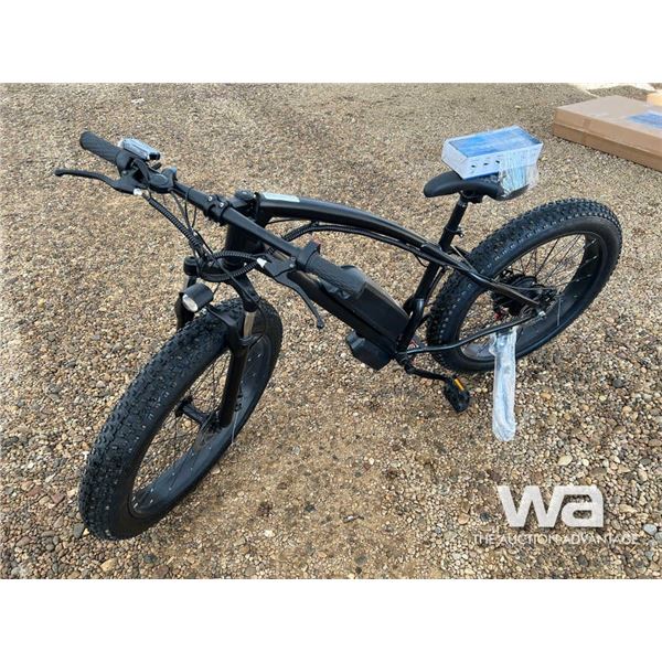 Electric Fat Tire Bicycle