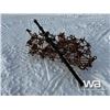 Image 4 : Pasture Harrows & Drawbar