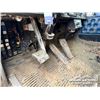 Image 17 : 1984 KENWORTH W900 T/A DUMP TRUCK
