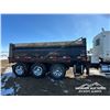 Image 56 : 2007 WESTERN STAR 4900SA TRI DRIVE DUMP TRUCK