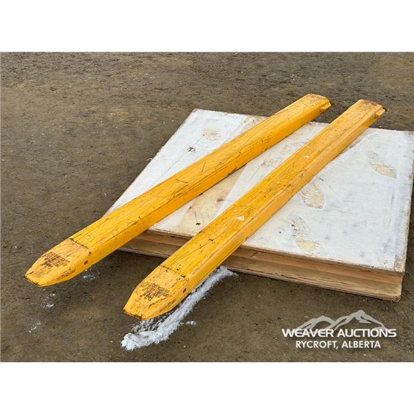 6 FT. FORK EXTENTIONS