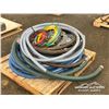 Image 4 : MISC WATER & GARDEN HOSE