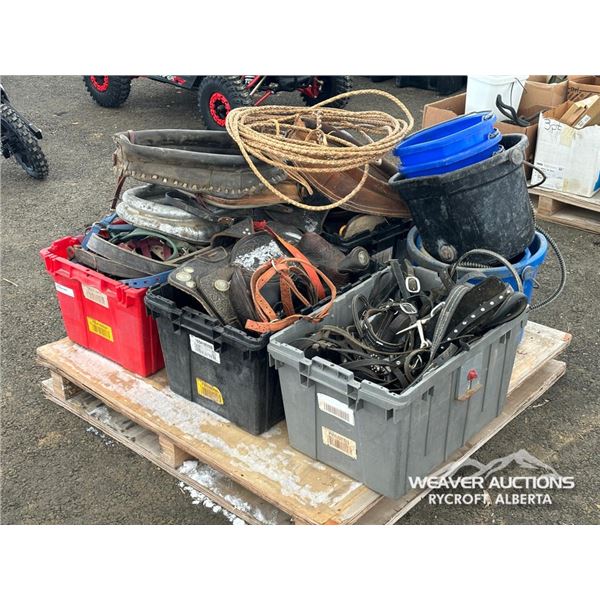 HORSE TACK