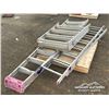 Image 1 : (3) LADDERS