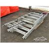 Image 3 : (3) LADDERS