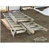 Image 4 : (3) LADDERS