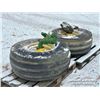 Image 4 : (2) FIRESTONE IMPLEMENT TIRES