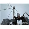Image 32 : GRAIN LEG & (7) FLAT BOTTOM GRAIN BINS