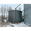 Image 38 : GRAIN LEG & (7) FLAT BOTTOM GRAIN BINS