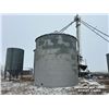 Image 4 : GRAIN LEG & (7) FLAT BOTTOM GRAIN BINS
