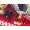 Image 14 : 2025 4000 PSI MAGNUM PRESSURE WASHER