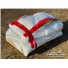 Image 4 : (10) BAGS OF POLISH CANOLA SEED