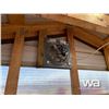 Image 9 : 10 x 12 FT. Green House