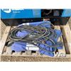 Image 11 : Miller Bobcat 250 NT Welder