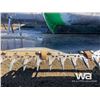 Image 10 : 1993 John Deere 930 Grain Header