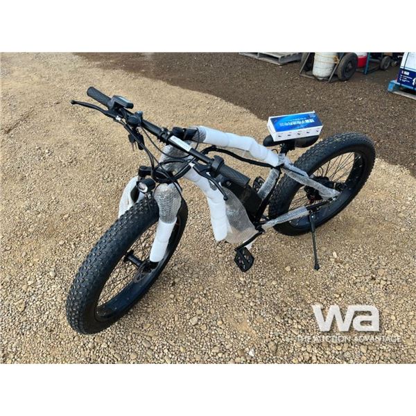 Electric Fat Tire Bicycle