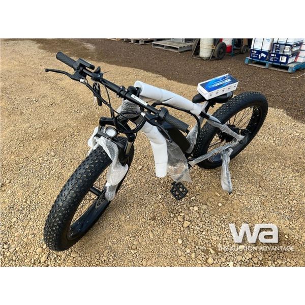 Electric Fat Tire Bicycle