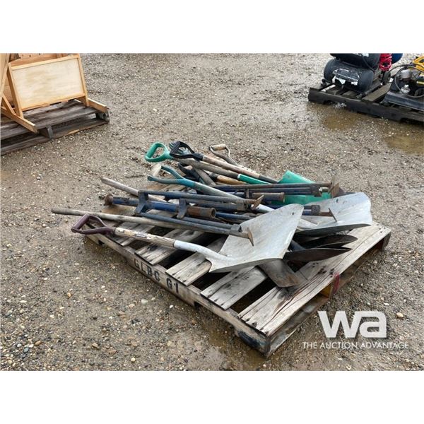 QTY. OF VARIOUS SHOVELS, (2) STEEL STANDS
