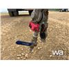Image 6 : 2011 RENN SL1700 17 FT. TRIDEM GRAVEL PUP