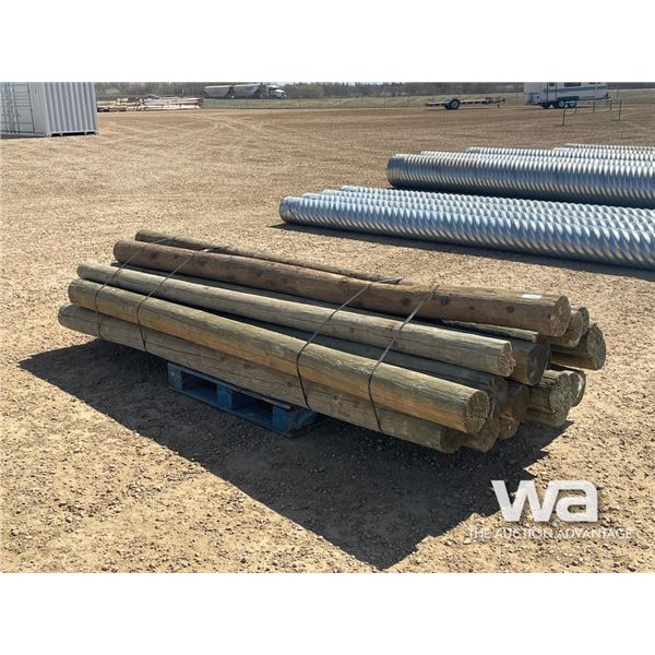 (21) 10 FT. TREATED POSTS