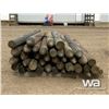 Image 5 : QTY OF 8 FT. FENCE POSTS