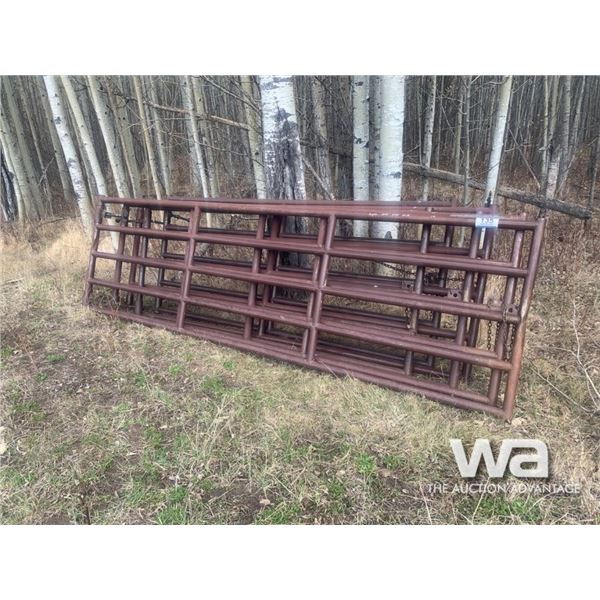 (6) BROWN LIVESTOCK GATES