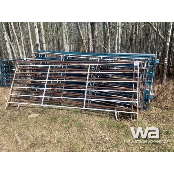 (20) 12 FT. LIVESTOCK PANELS