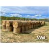 Image 6 : (277) HAY BALES
