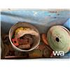 Image 5 : (2) WISCONSIN ENGINES
