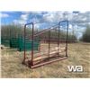 Image 3 : STEEL LIVESTOCK LOADING CHUTE