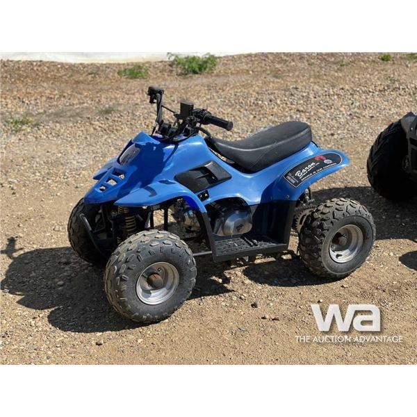2006 MINI ATV