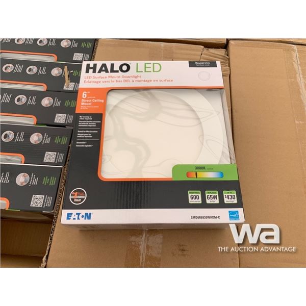 (48) 5"/6" HALO LED SURFACE MOUNT LIGHTS