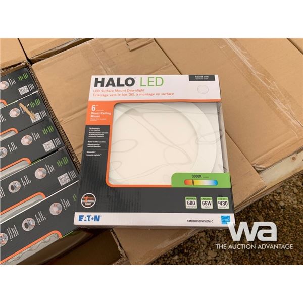 (48) 5"/6" HALO LED SURFACE MOUNT LIGHTS