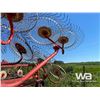 Image 10 : SITREX H90 10 WHEEL HAY RAKE