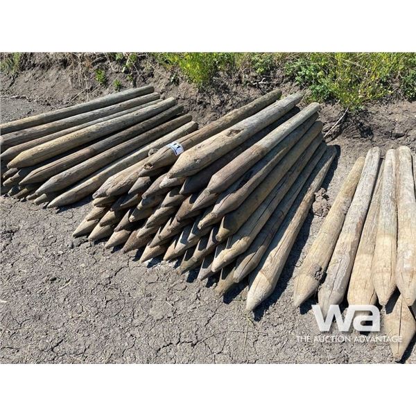 (47+/-) TREATED FENCE POSTS