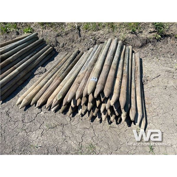 (49+/-) TREATED FENCE POSTS