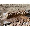 Image 4 : CULTIVATOR SWEEPS & SPIKES