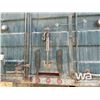 Image 19 : 1981 IHC S1900 T/A GRAIN TRUCK