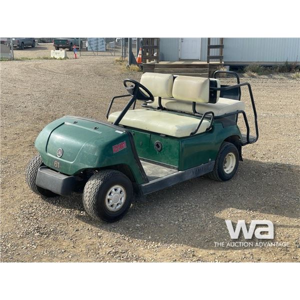 ELECTRIC GOLF CART