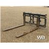 Image 1 : FMS 60 IN PALLET FORKS