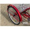 Image 10 : ELECTRIC TRICYCLE