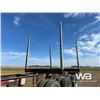 Image 15 : 2006 ARCTIC HR31TR 53 FT. TRIDEM LOG TRAILER